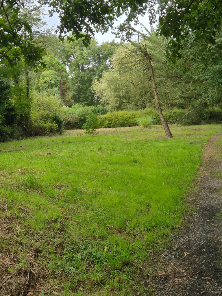 remise en etat terrain apres broceliande