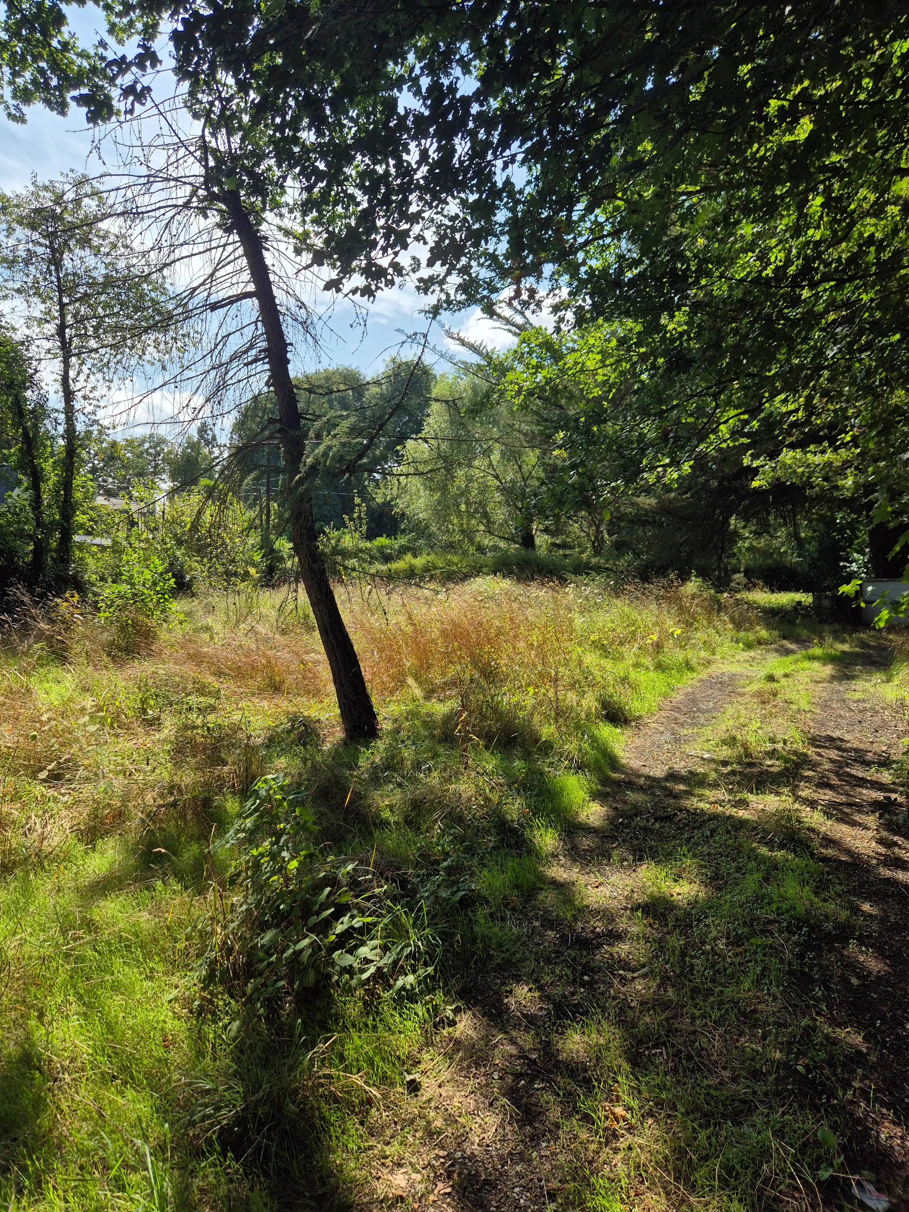 Terrain avant remise en état - Brocéliande